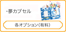 有料オプション