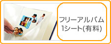 フリーアルバム