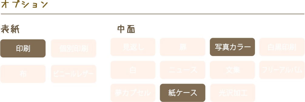 一部オプションに対応