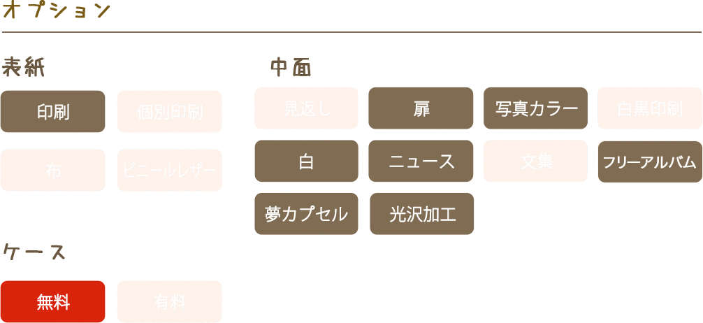 一部オプションに対応