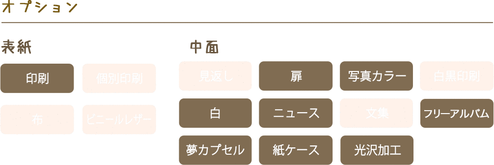 一部オプションに対応